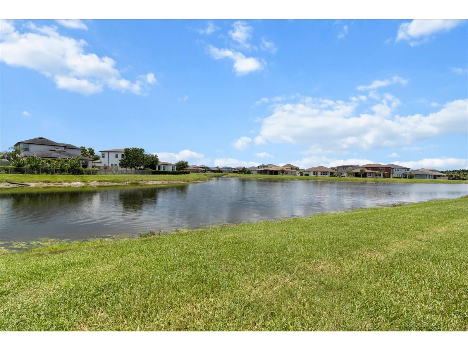 4745 Tramanto Lane Wesley Chapel FL 33543 TB8463380 image39