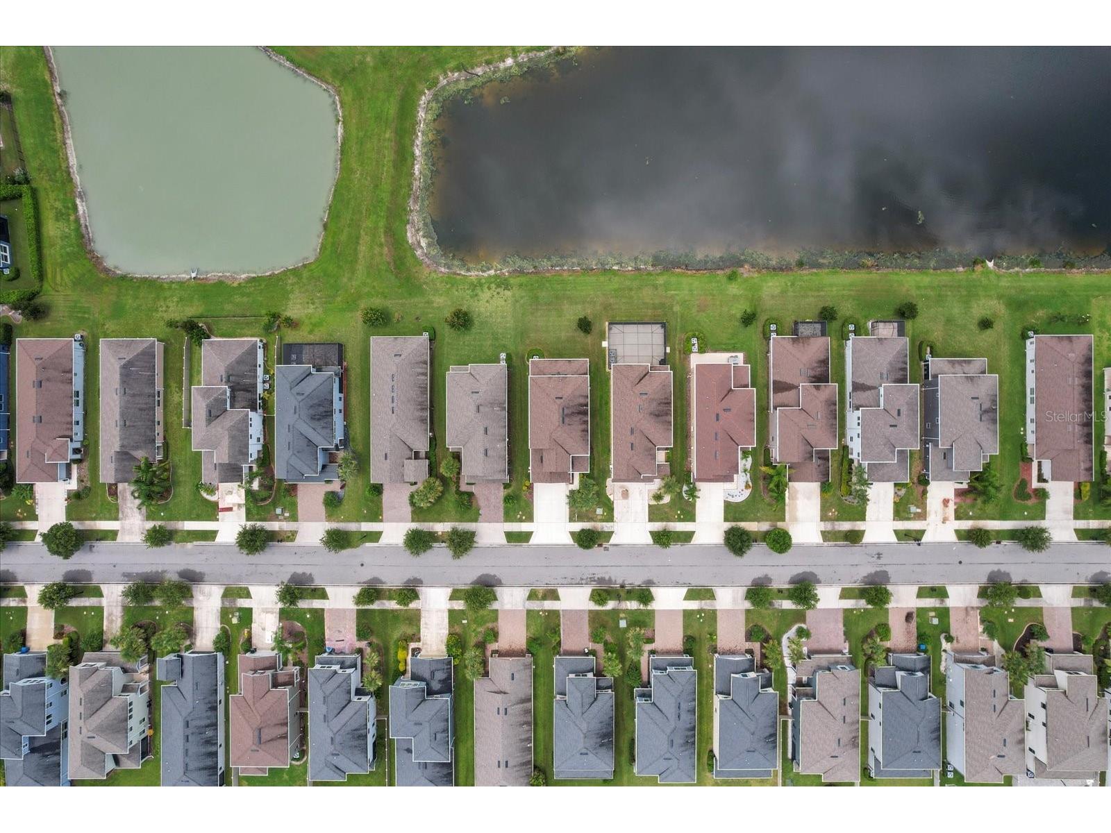 4745 Tramanto Lane Wesley Chapel FL 33543 TB8463380 image47