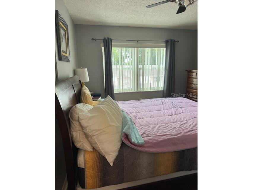 4746 Azalea Drive #103 C New Port Richey FL 34652 W7883225 image24