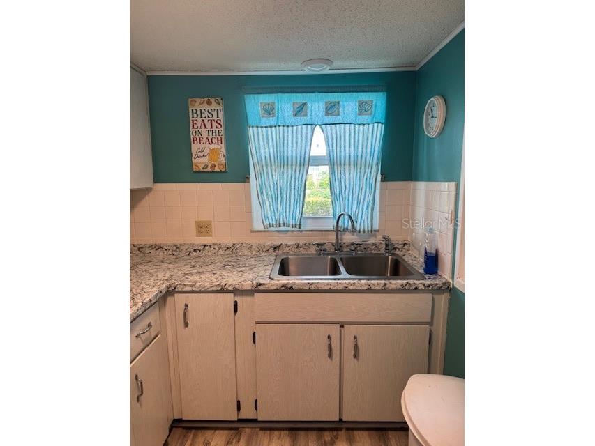 4746 Azalea Drive #103 C New Port Richey FL 34652 W7883225 image3