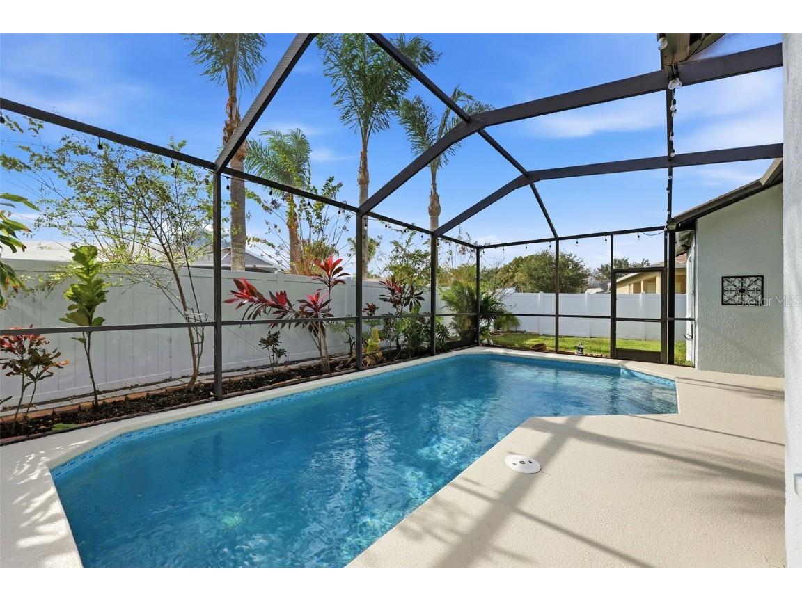 4746 Carroway Drive Land O Lakes FL 34639 TB8442191 image34