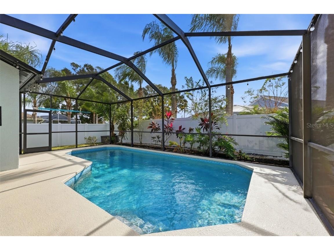 4746 Carroway Drive Land O Lakes FL 34639 TB8442191 image35