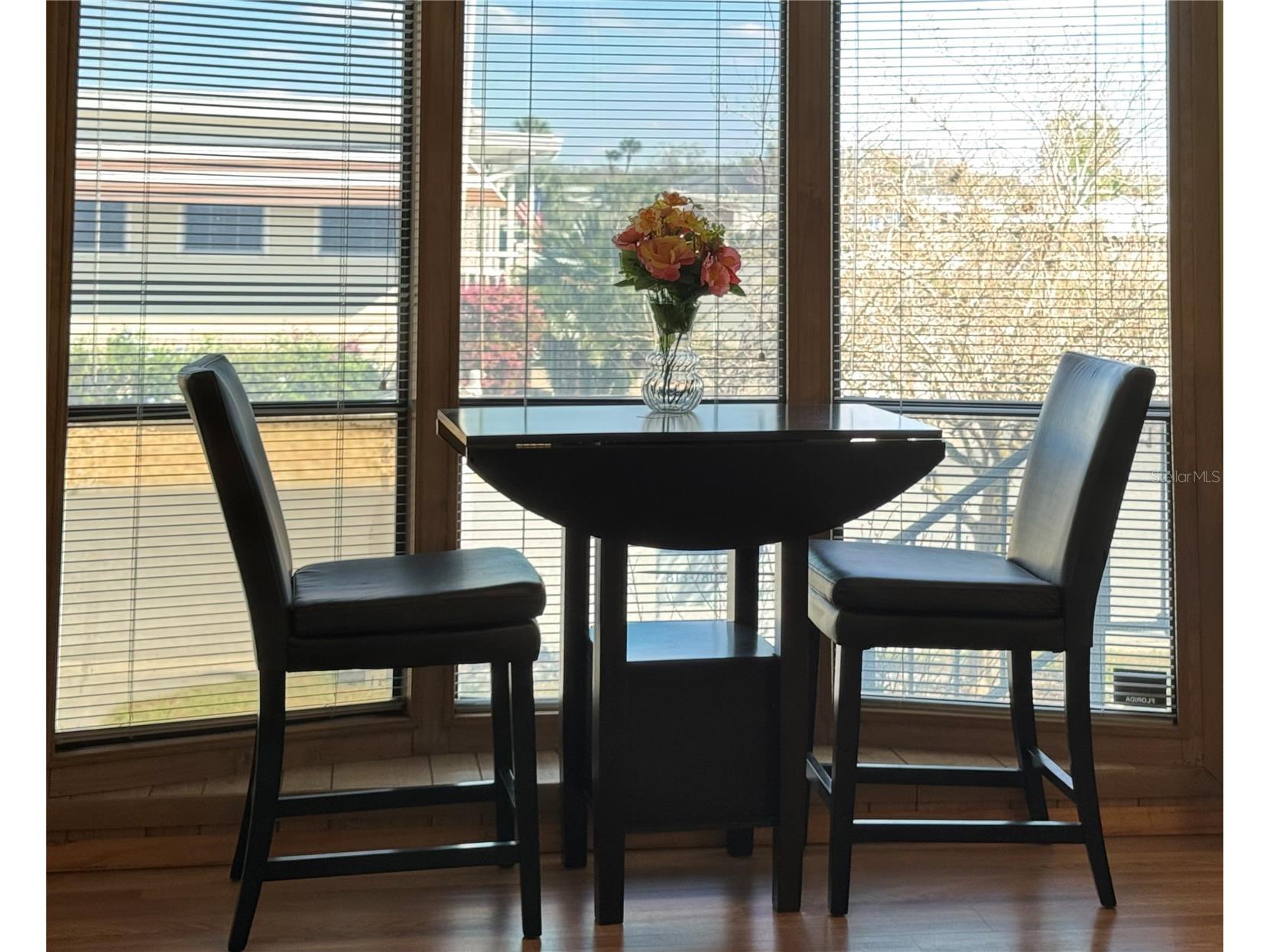 4747 Bobby Avenue #258 Zephyrhills FL 33541 TB8348256 image14