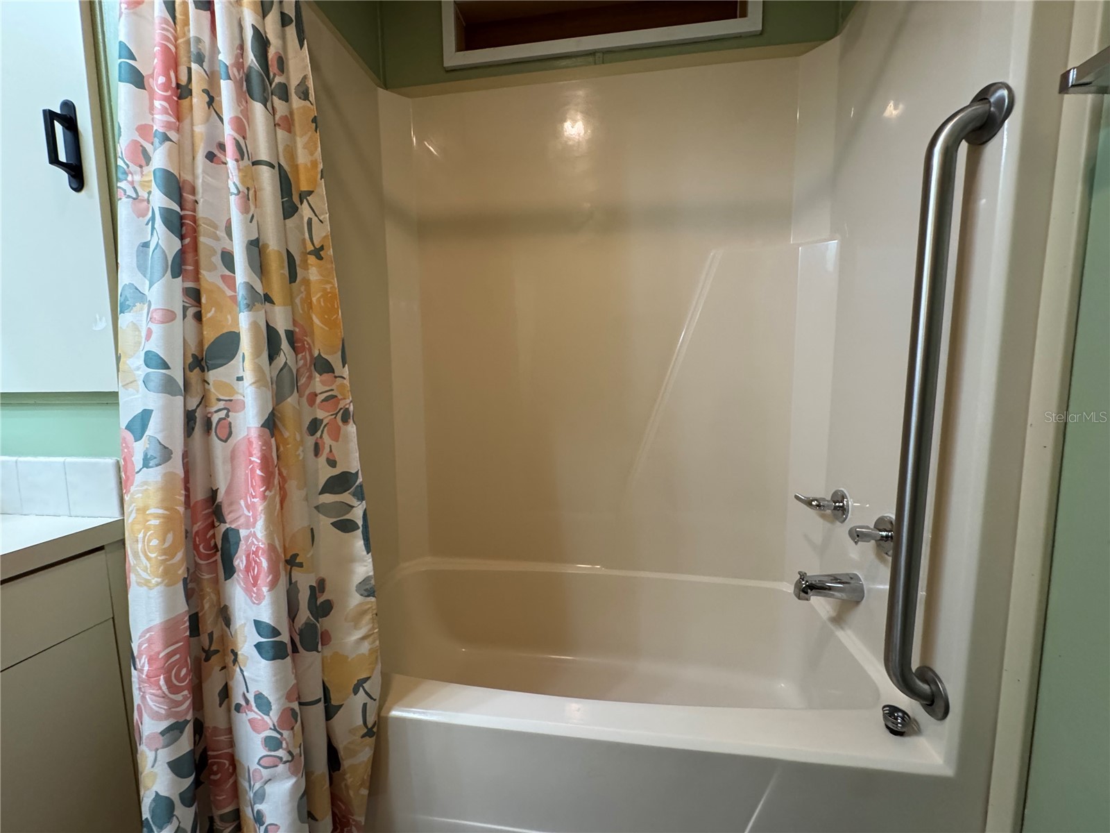 4747 Bobby Avenue #LOT 258 Zephyrhills FL 33541 TB8516709 image18