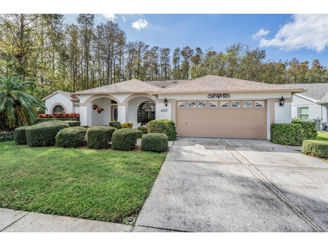 4747 Crestknoll Lane New Port Richey FL 34653 W7869738 image1