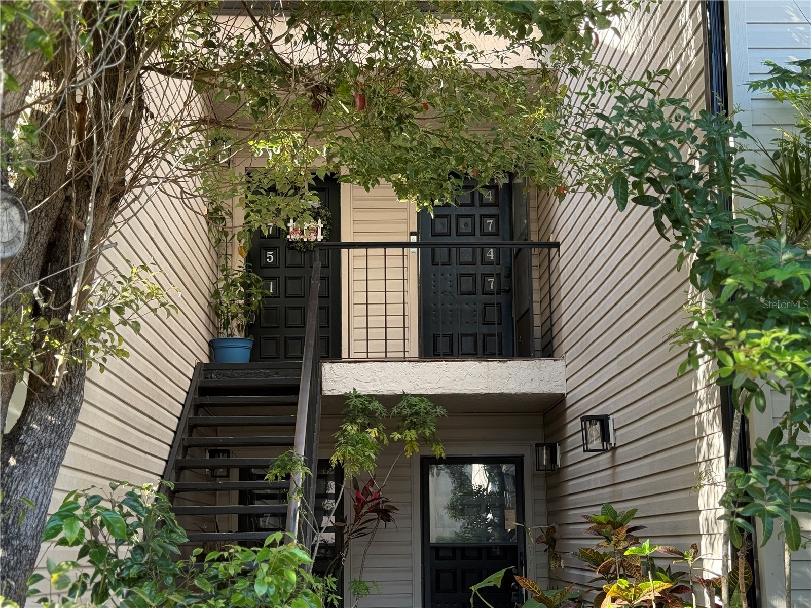 4747 Puritan Circle #523 Tampa FL 33617 TB8490305 image1