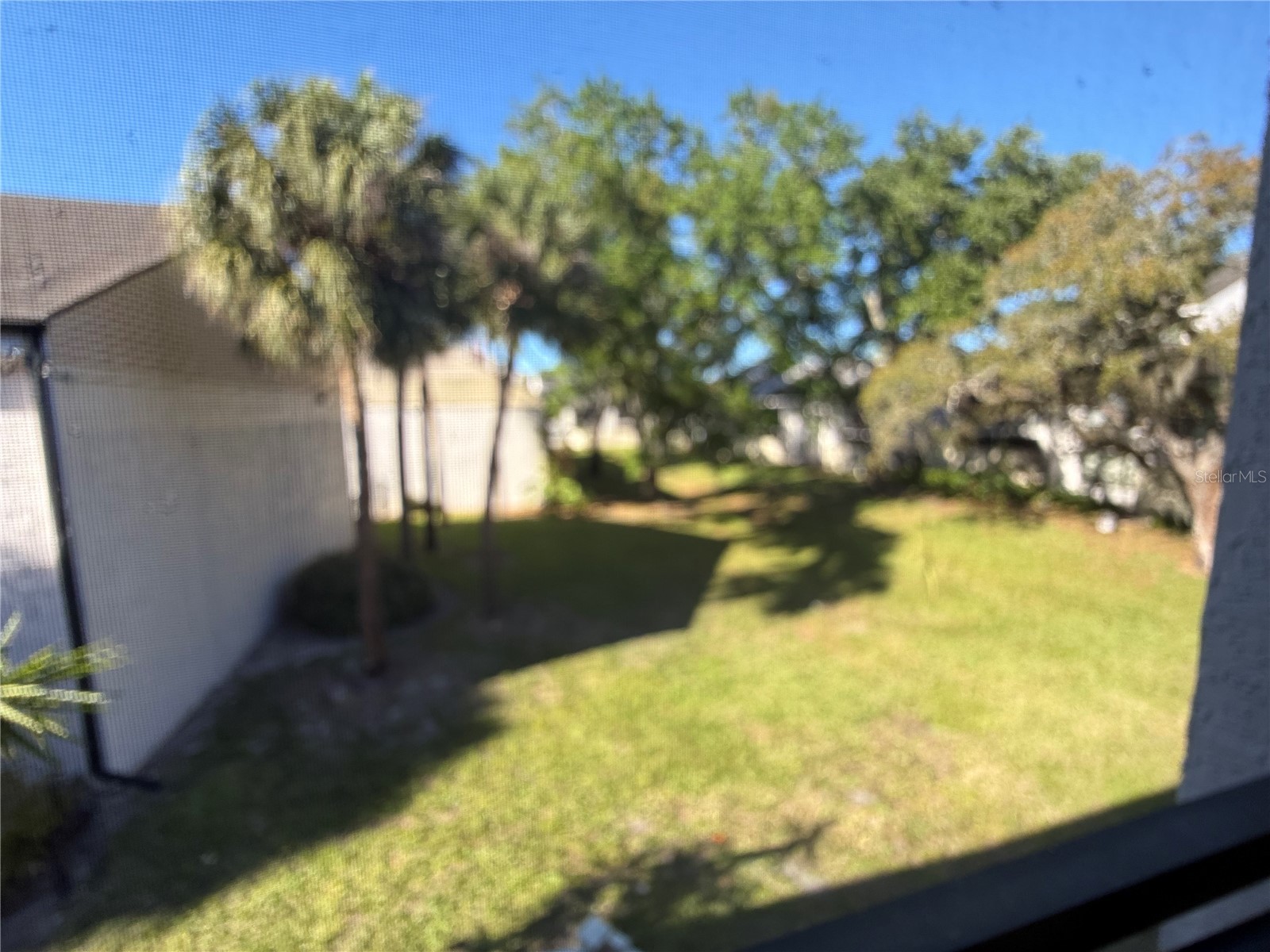 4747 Puritan Circle #523 Tampa FL 33617 TB8490305 image14
