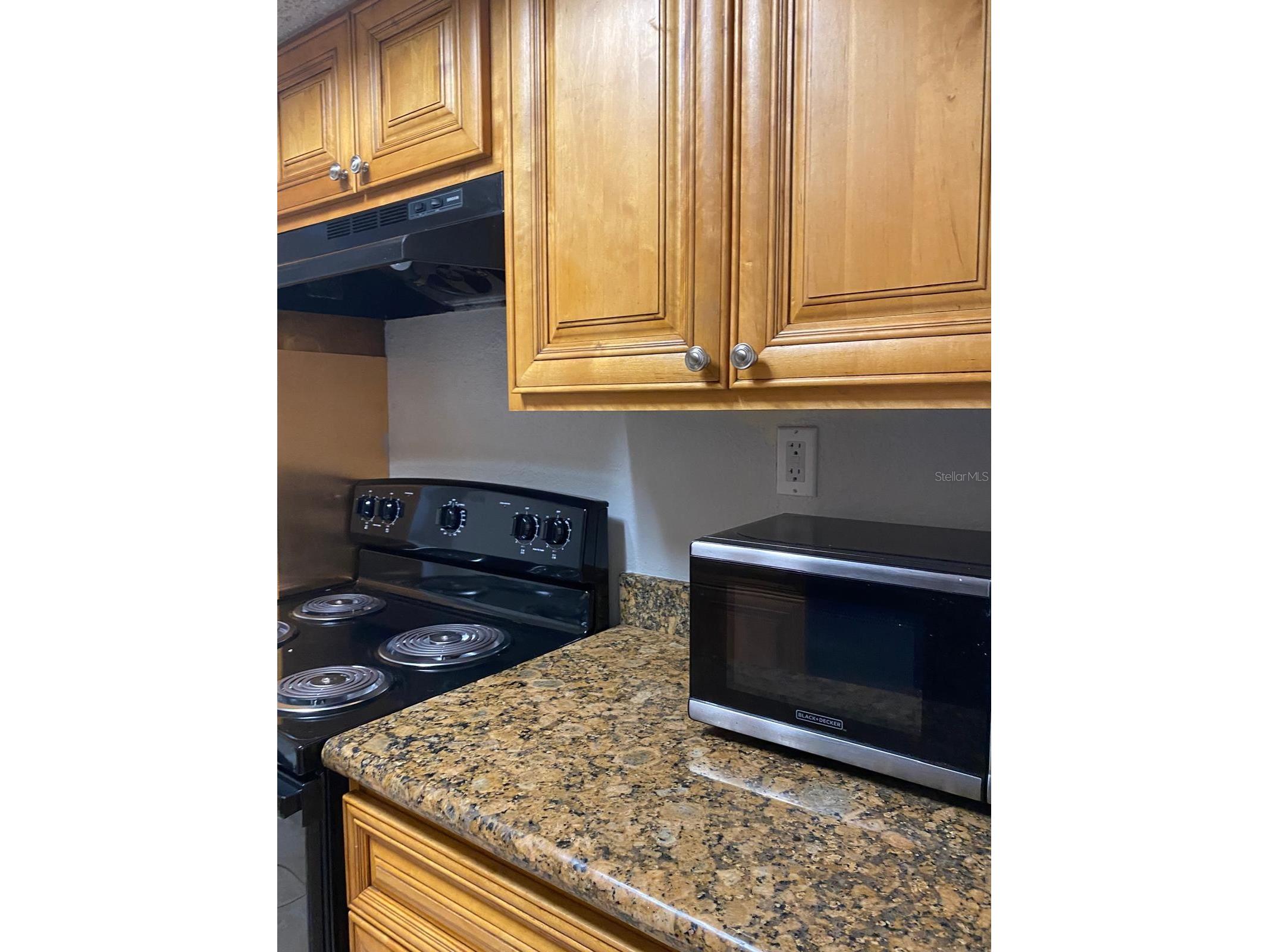 4749 S Texas Avenue #4749C Orlando FL 32839 O6410405 image2