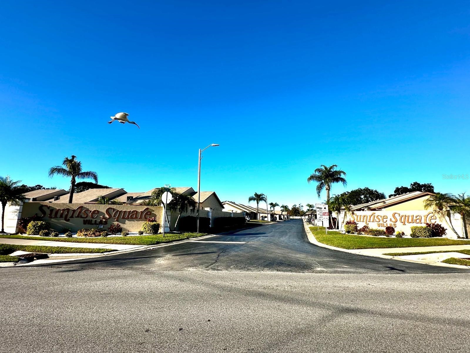 4749 Sunny Loop #4749 Holiday FL 34690 TB8485672 image25