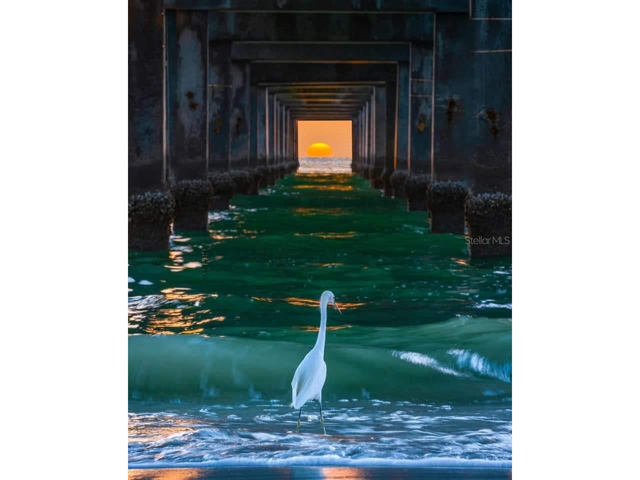 475 Circlewood Drive #O18 Venice FL 34293 N6141244 image49