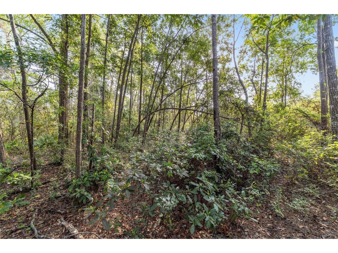 475 Fisher Road Ocklawaha FL 32179 OM699363 image19