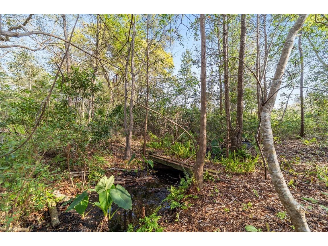 475 Fisher Road Ocklawaha FL 32179 OM699363 image25