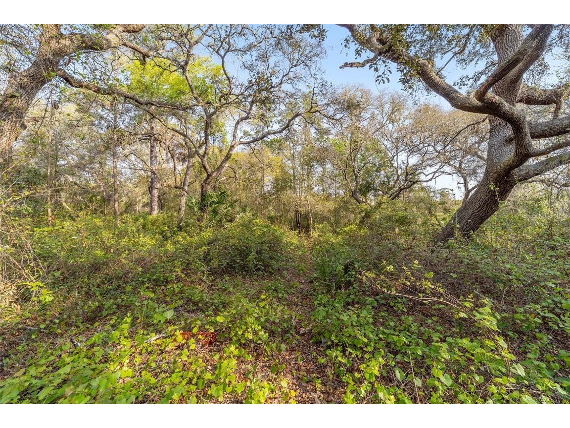 475 Fisher Road Ocklawaha FL 32179 OM699363 image4