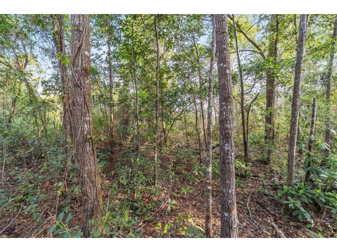 475 Fisher Road Ocklawaha FL 32179 OM699363 image5