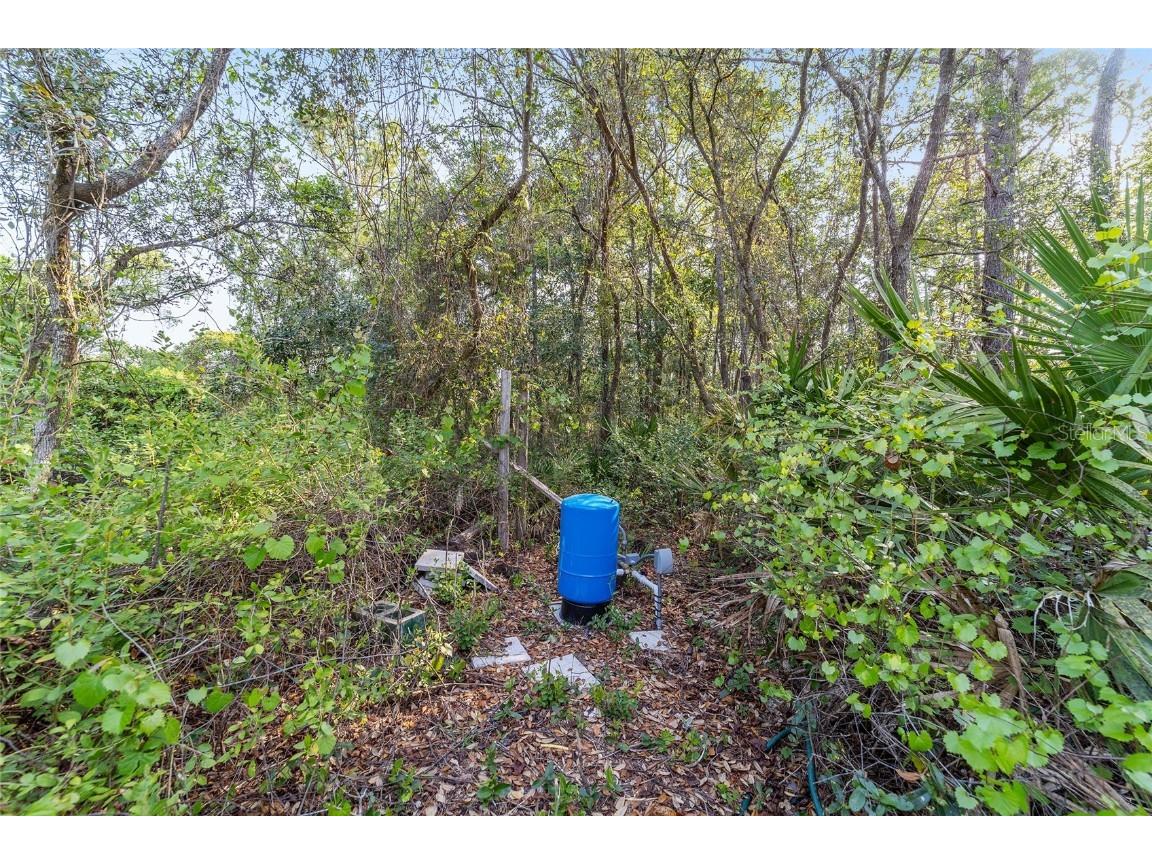 475 Fisher Road Ocklawaha FL 32179 OM699363 image6