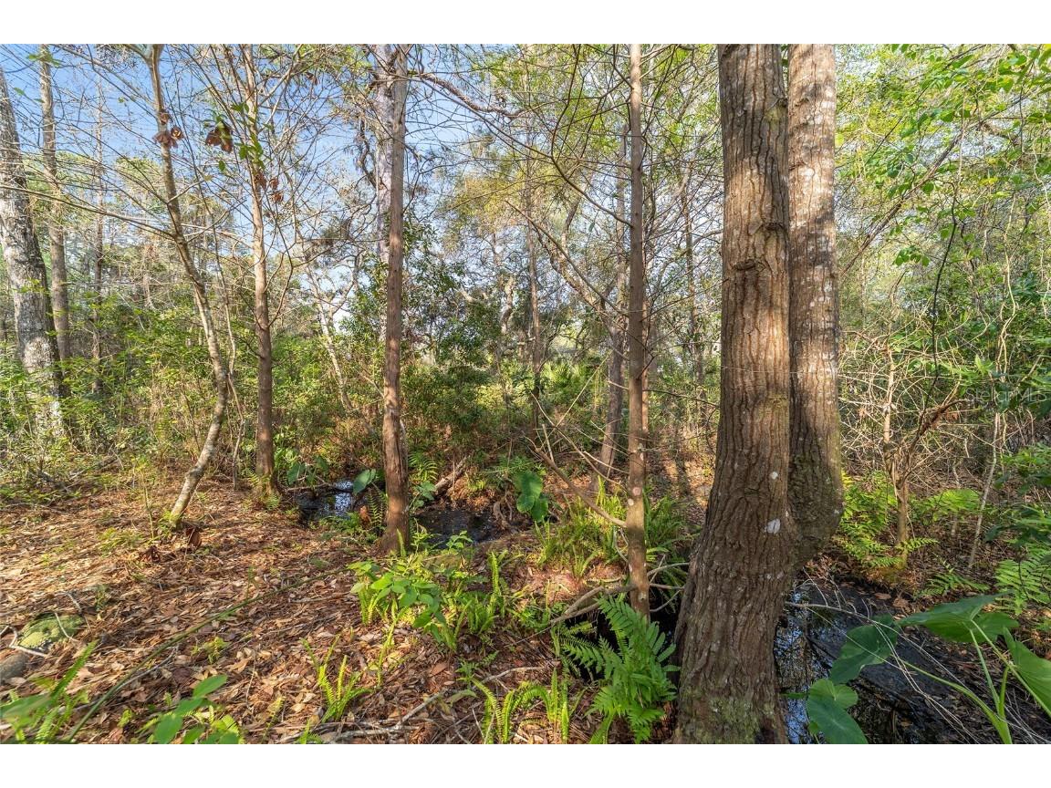 475 Fisher Road Ocklawaha FL 32179 OM699363 image9