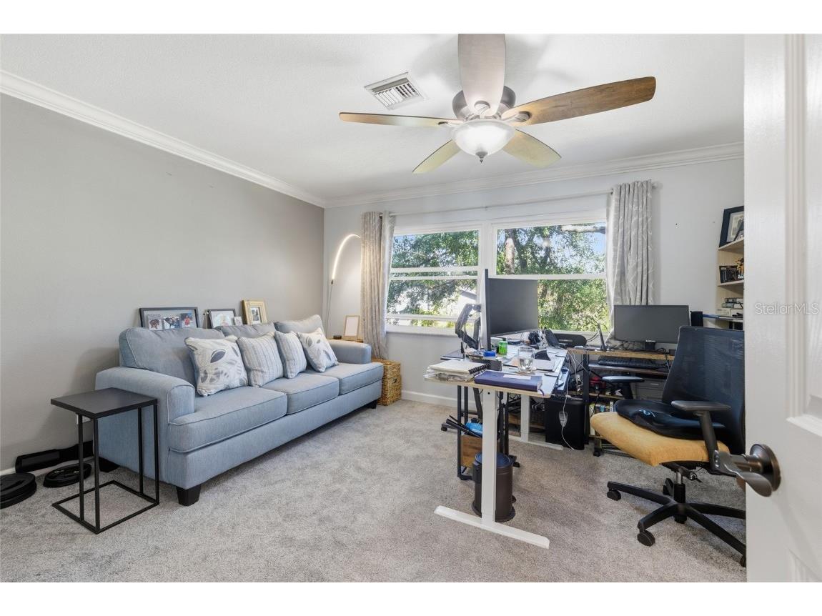 475 Woods Landing Trail Oldsmar FL 34677 A4676723 image20