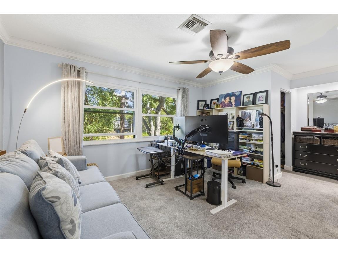 475 Woods Landing Trail Oldsmar FL 34677 A4676723 image21