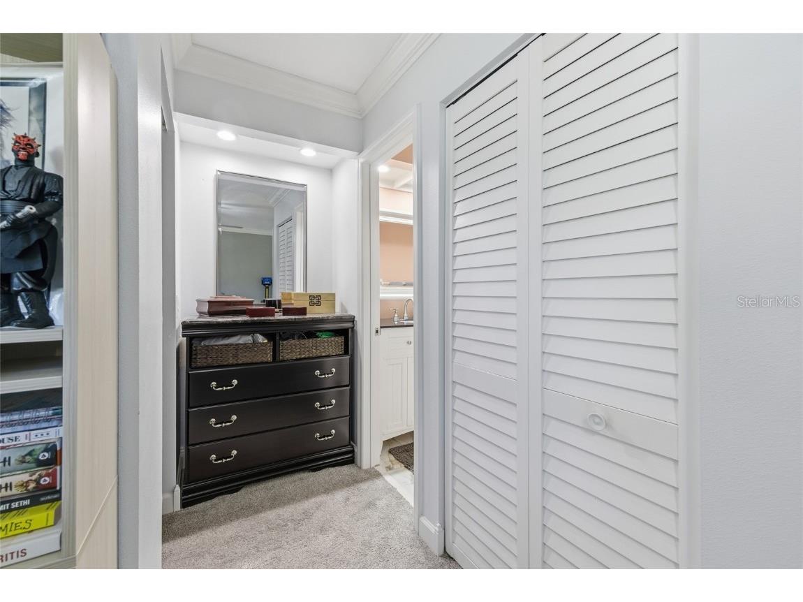 475 Woods Landing Trail Oldsmar FL 34677 A4676723 image22