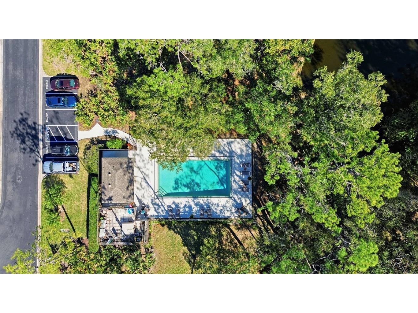 475 Woods Landing Trail Oldsmar FL 34677 A4676723 image29