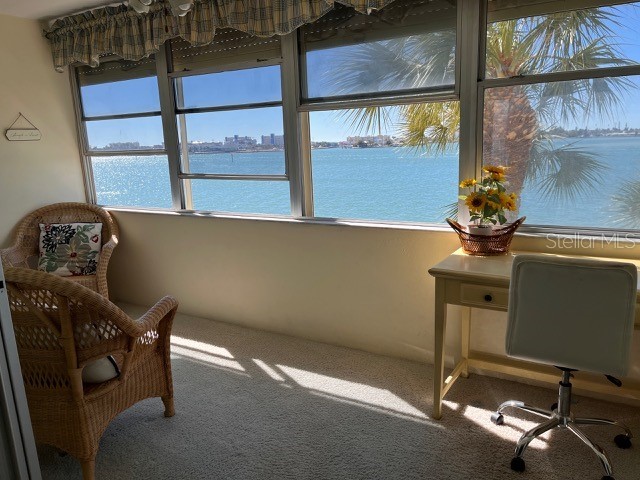 4750 Cove Circle #303 Saint Petersburg FL 33708 - BOCA CIEGA BAY TB8432932 image14