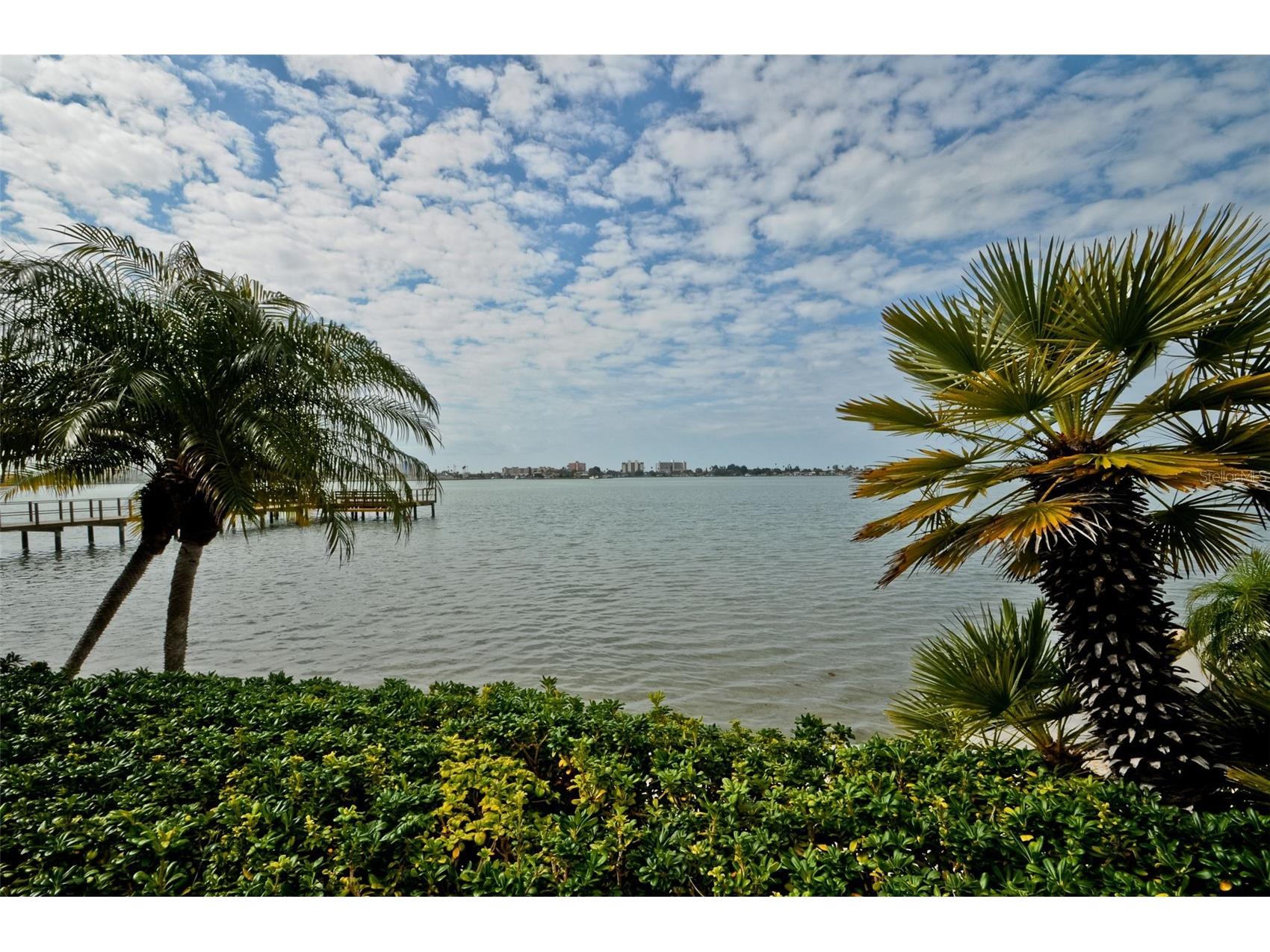 4750 Cove Circle #303 Saint Petersburg FL 33708 - BOCA CEIGA BAY TB8503442 image53
