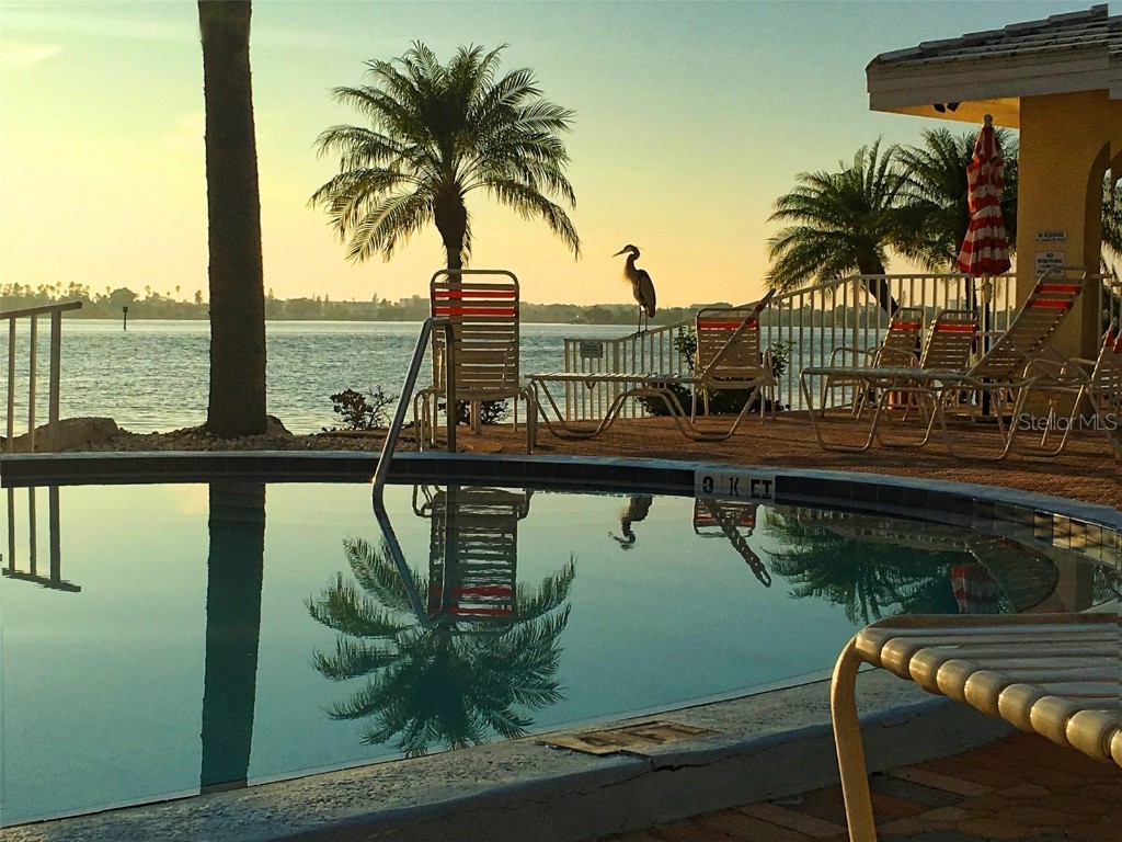 4750 Cove Circle #502 Saint Petersburg FL 33708 GC532039 image39