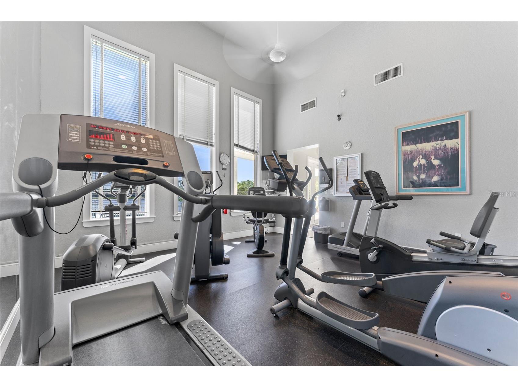 4750 Dolphin Cay Lane S #209 Saint Petersburg FL 33711 TB8436412 image31