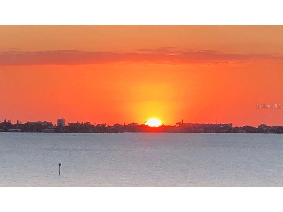 4750 Dolphin Cay Lane S #509 Saint Petersburg FL 33711 TB8479861 image3