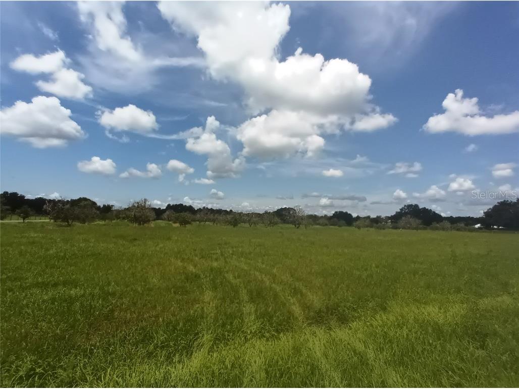 4750 Sr-11 De Leon Springs FL 32130 V4937575 image1