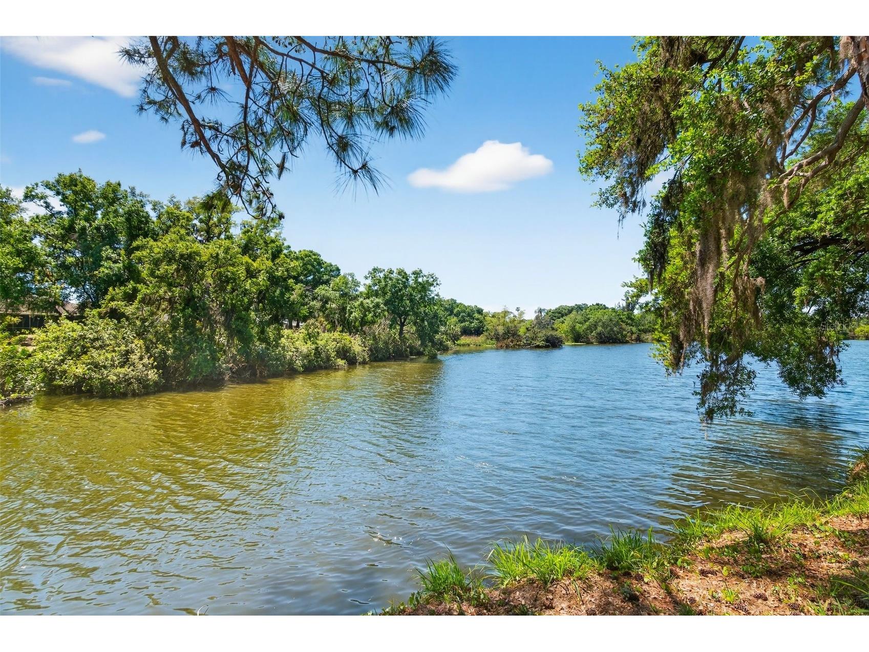 4750 Tivoli Avenue Sarasota FL 34235 A4687861 image51