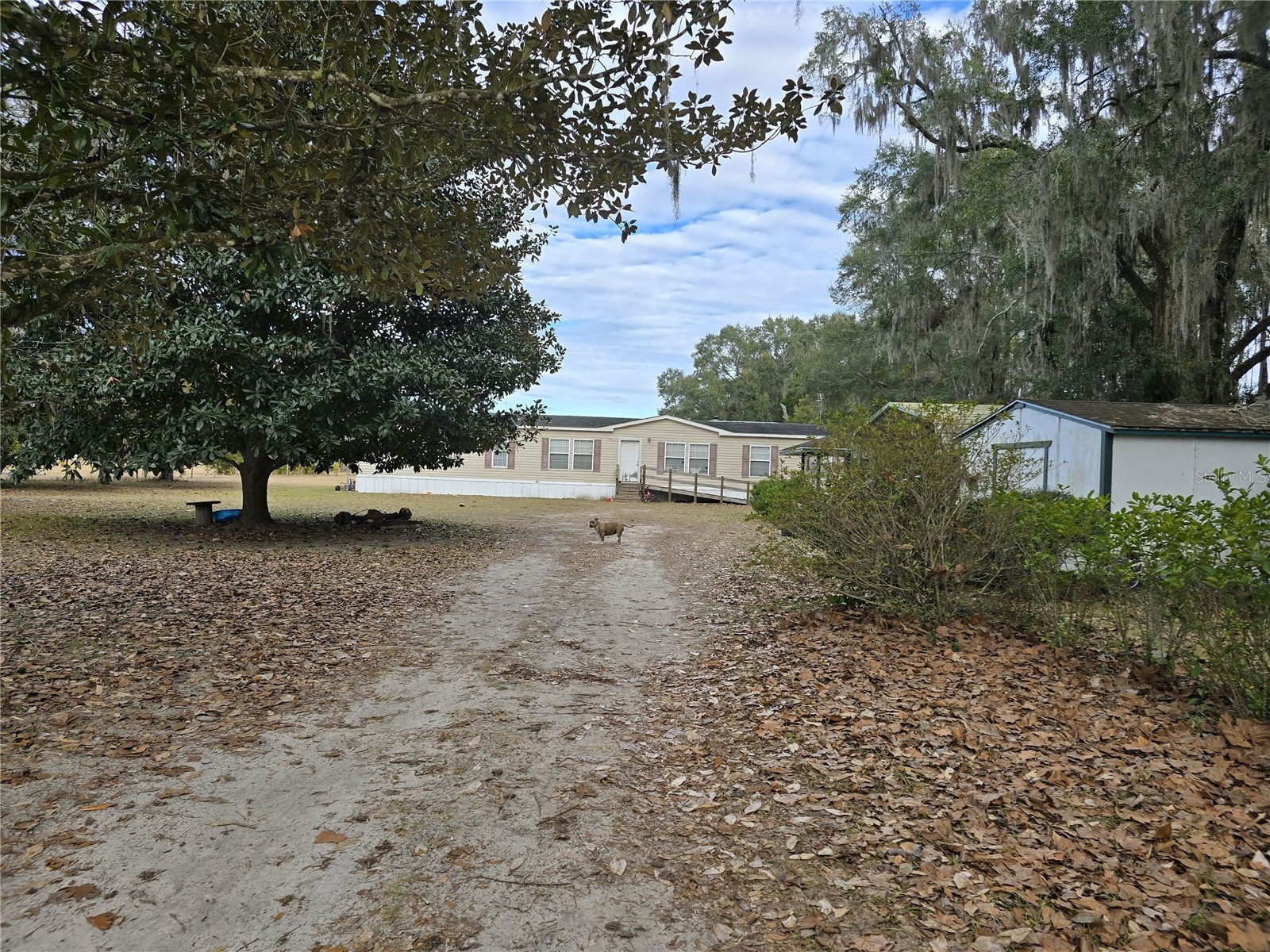 4751 NE 147 Court Williston FL 32696 OM717277 image28