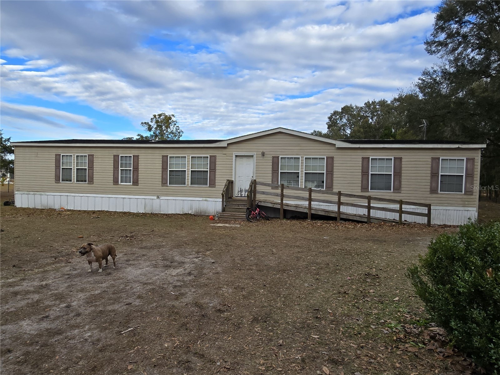 4751 NE 147 Court Williston FL 32696 OM717277 image3