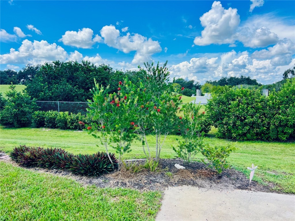 4751 SE 94th Avenue Webster FL 33597 G5102955 image5