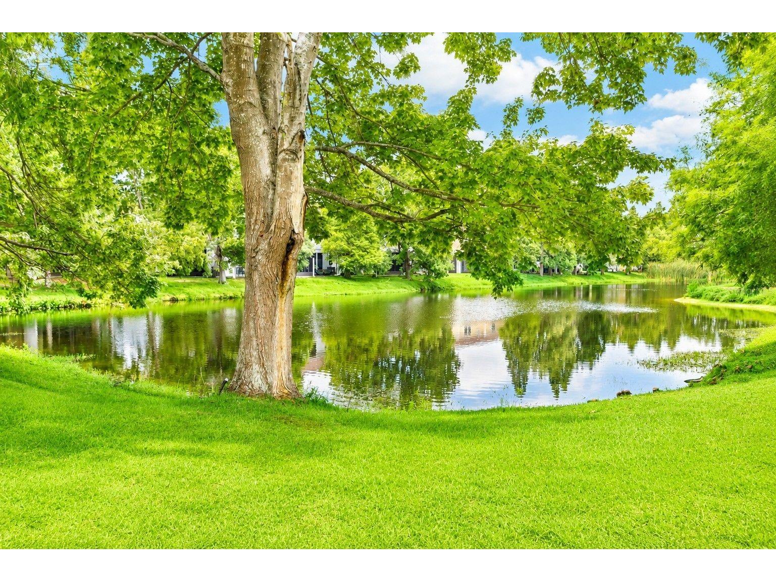 4751 White Sanderling Court Tampa FL 33619 TB8515810 image24