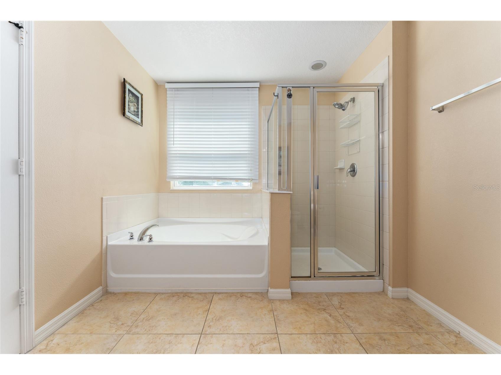 4752 Blue Diamond Street Kissimmee FL 34746 O6387480 image19