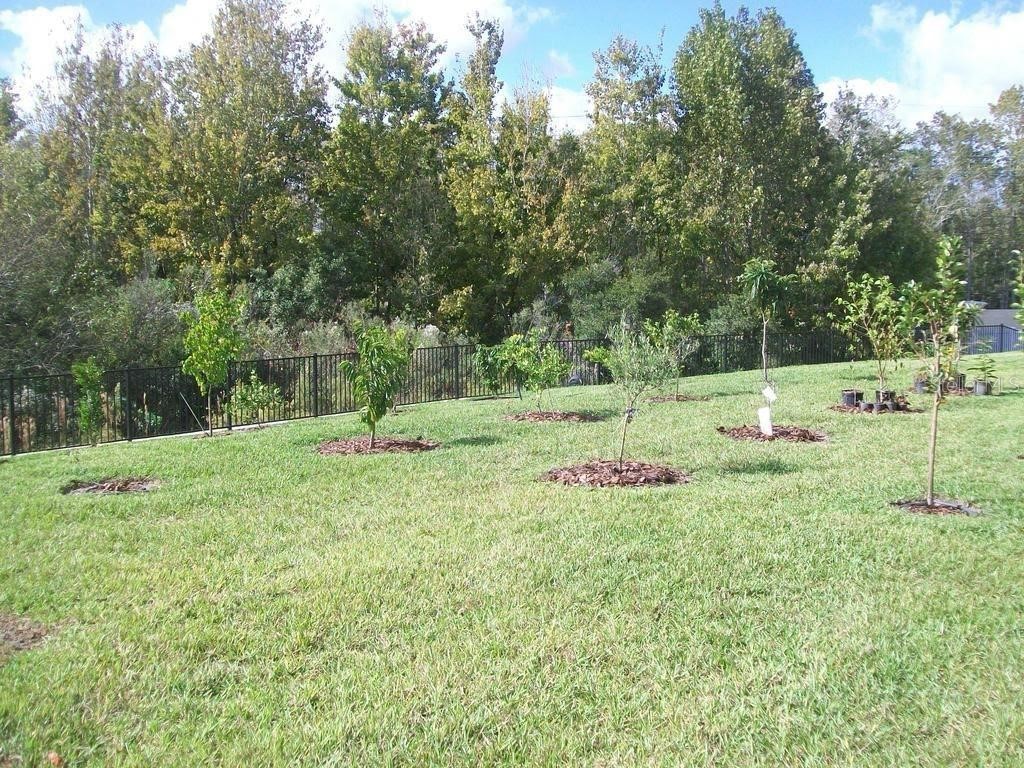 4752 Blue Diamond Street Kissimmee FL 34746 O6387480 image33