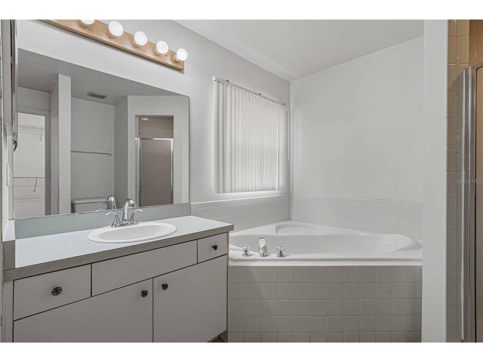 4752 Timber Way Zephyrhills FL 33542 TB8477510 image28