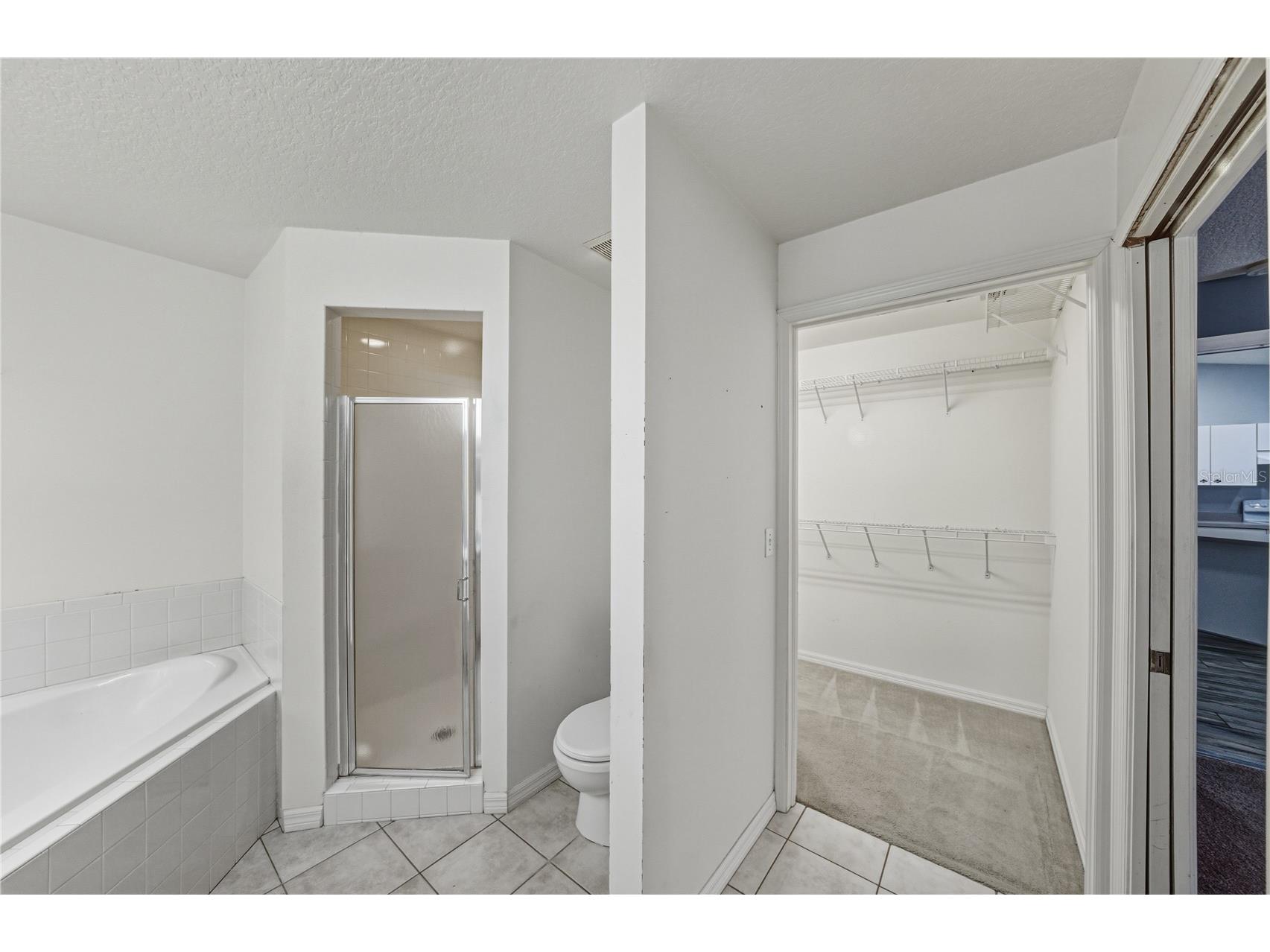 4752 Timber Way Zephyrhills FL 33542 TB8477510 image31