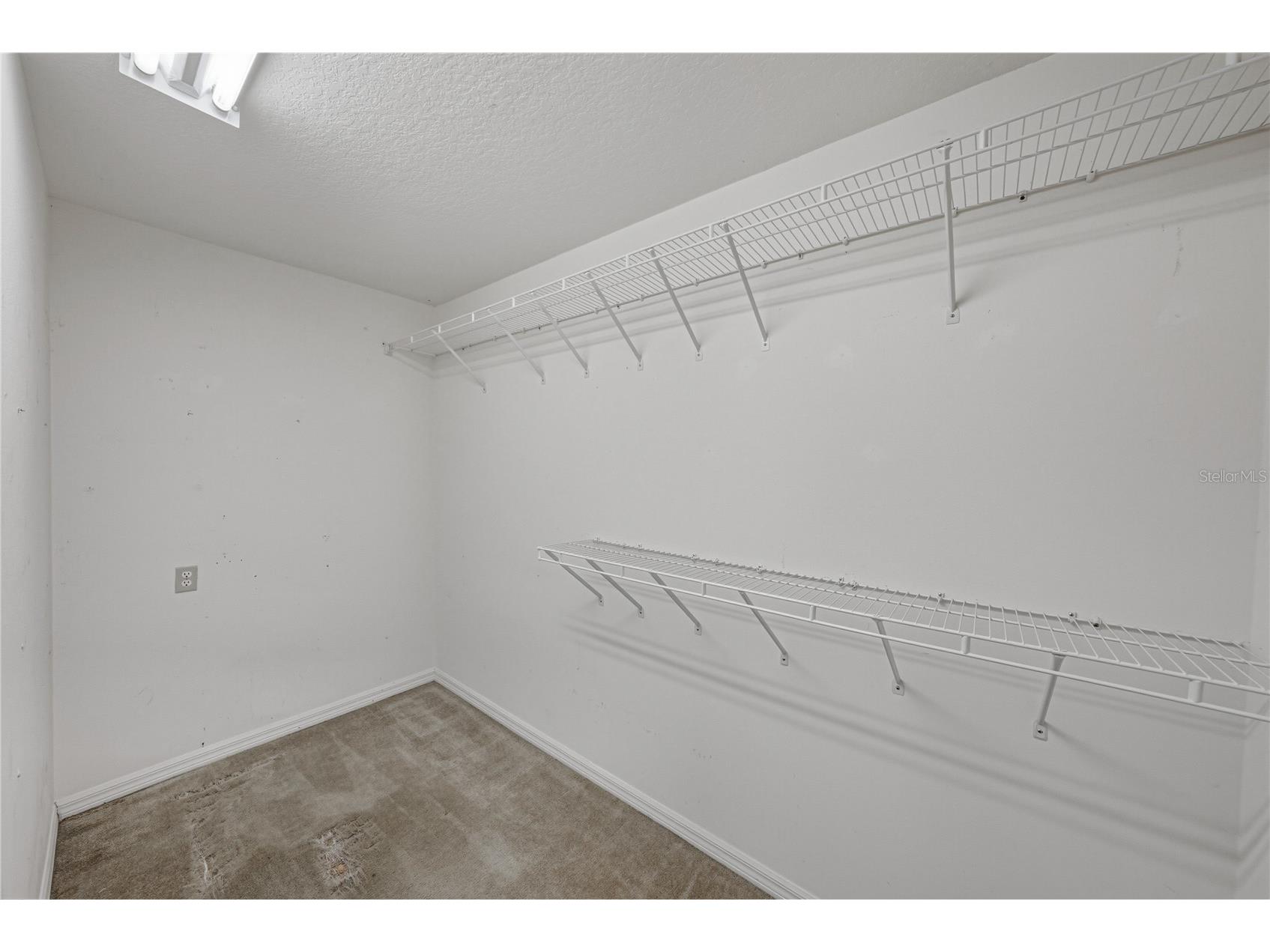4752 Timber Way Zephyrhills FL 33542 TB8477510 image32