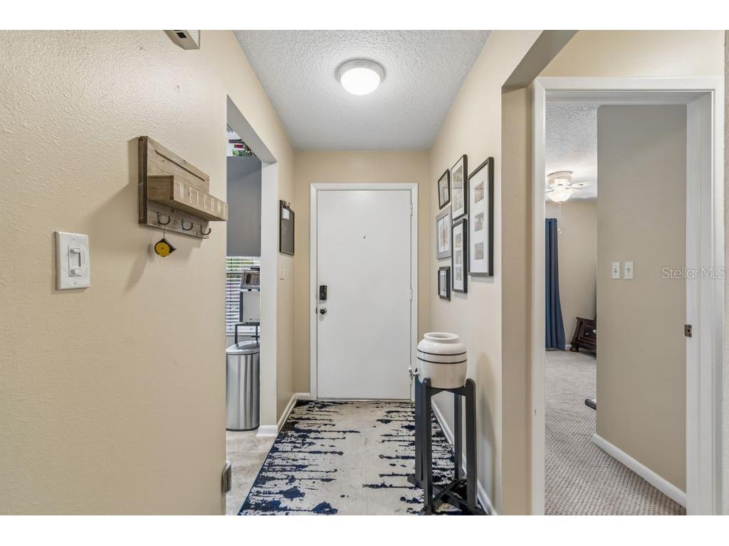 4753 Sunny Loop Holiday FL 34690 TB8494701 image11