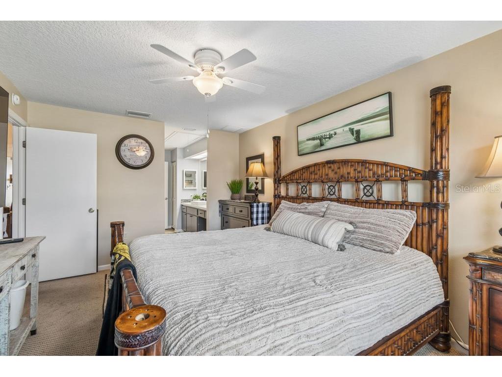 4753 Sunny Loop Holiday FL 34690 TB8494701 image19