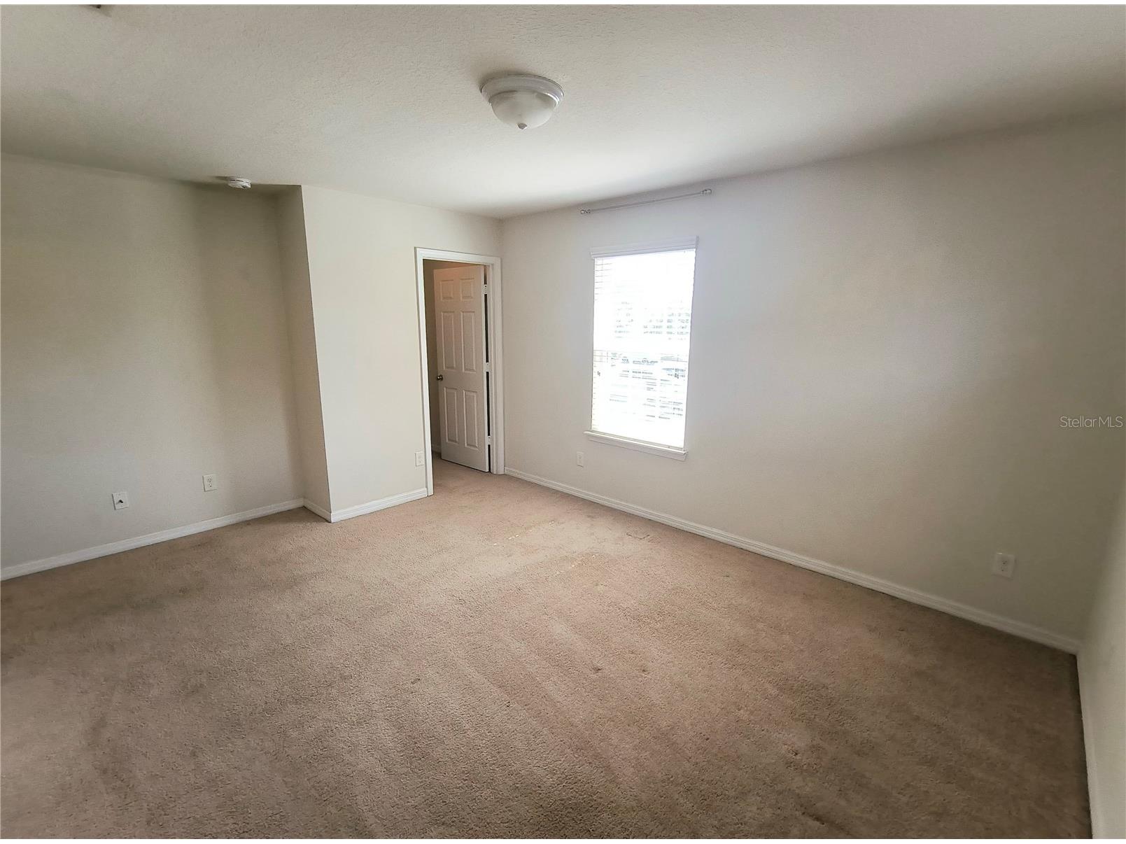 4754 Chatterton Way Riverview FL 33578 TB8519048 image16