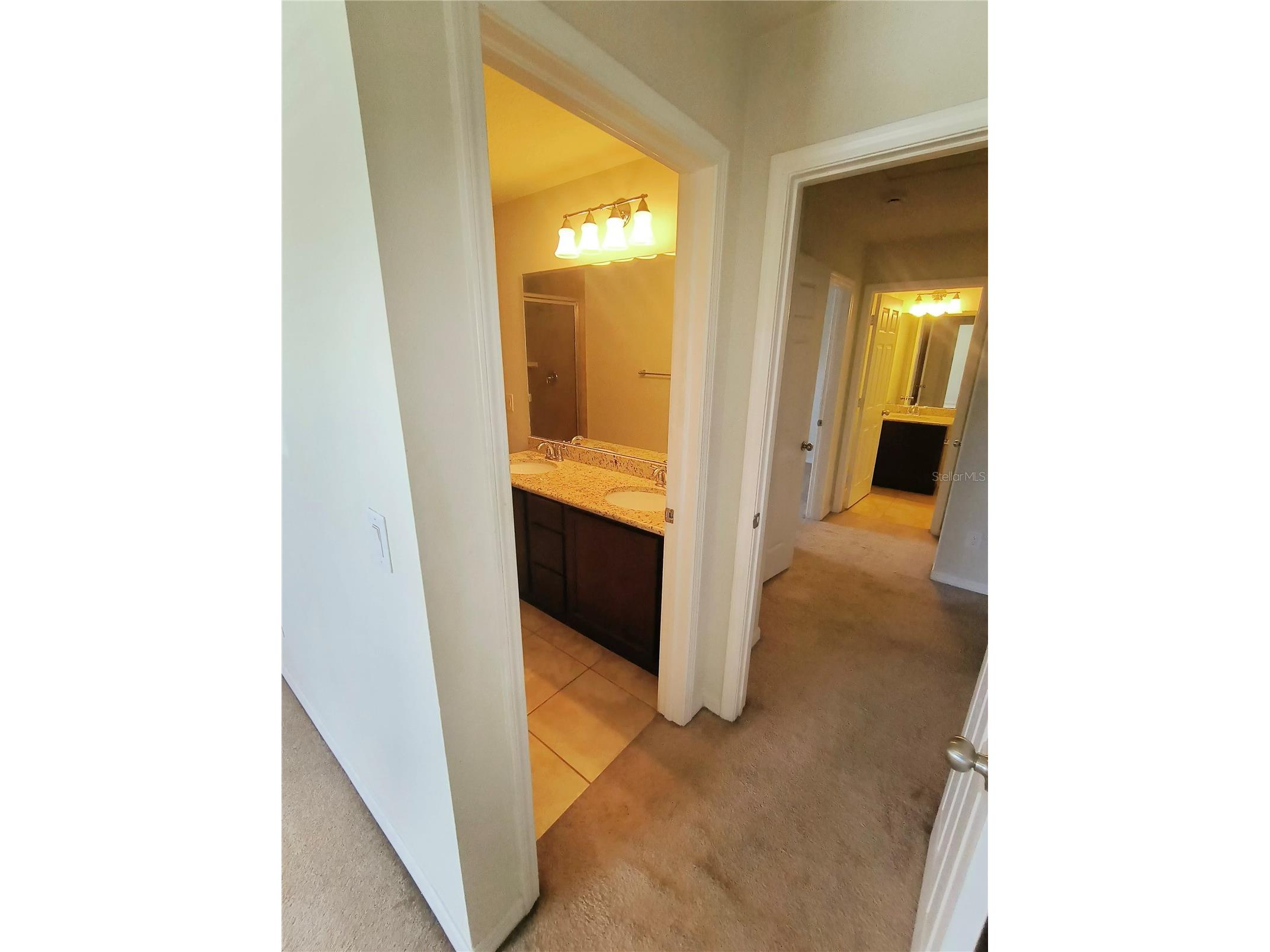 4754 Chatterton Way Riverview FL 33578 TB8519048 image24