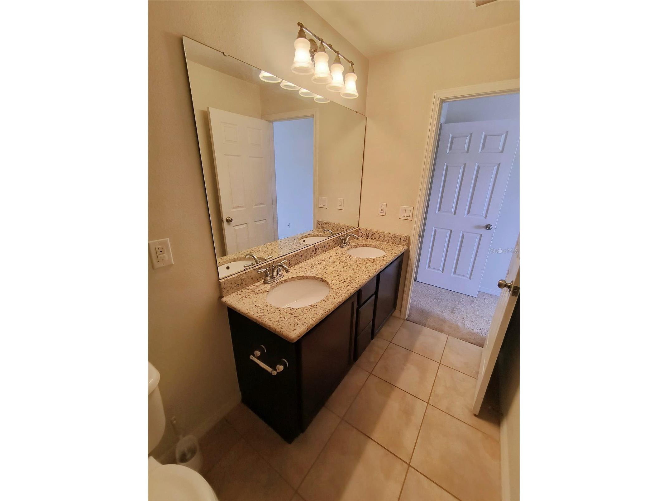 4754 Chatterton Way Riverview FL 33578 TB8519048 image28