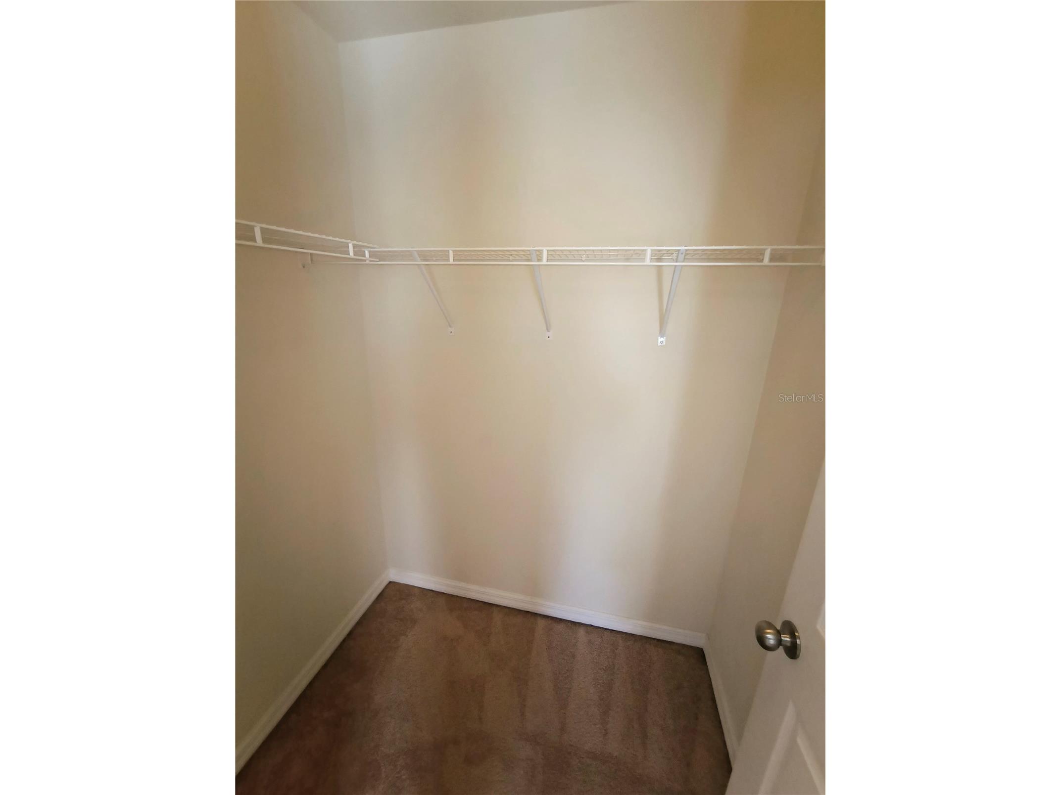 4754 Chatterton Way Riverview FL 33578 TB8519048 image31