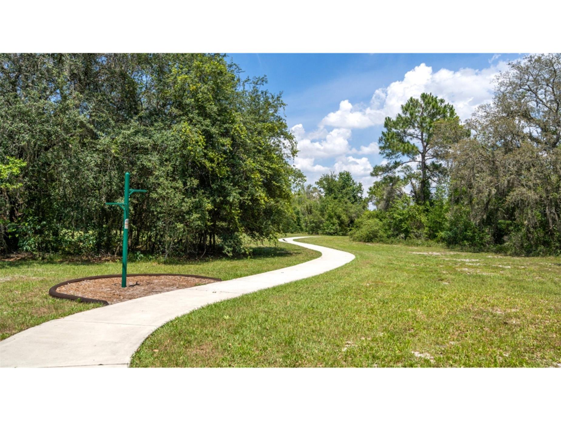 4754 Maple Cross Drive Kissimmee FL 34746 O6385301 image14