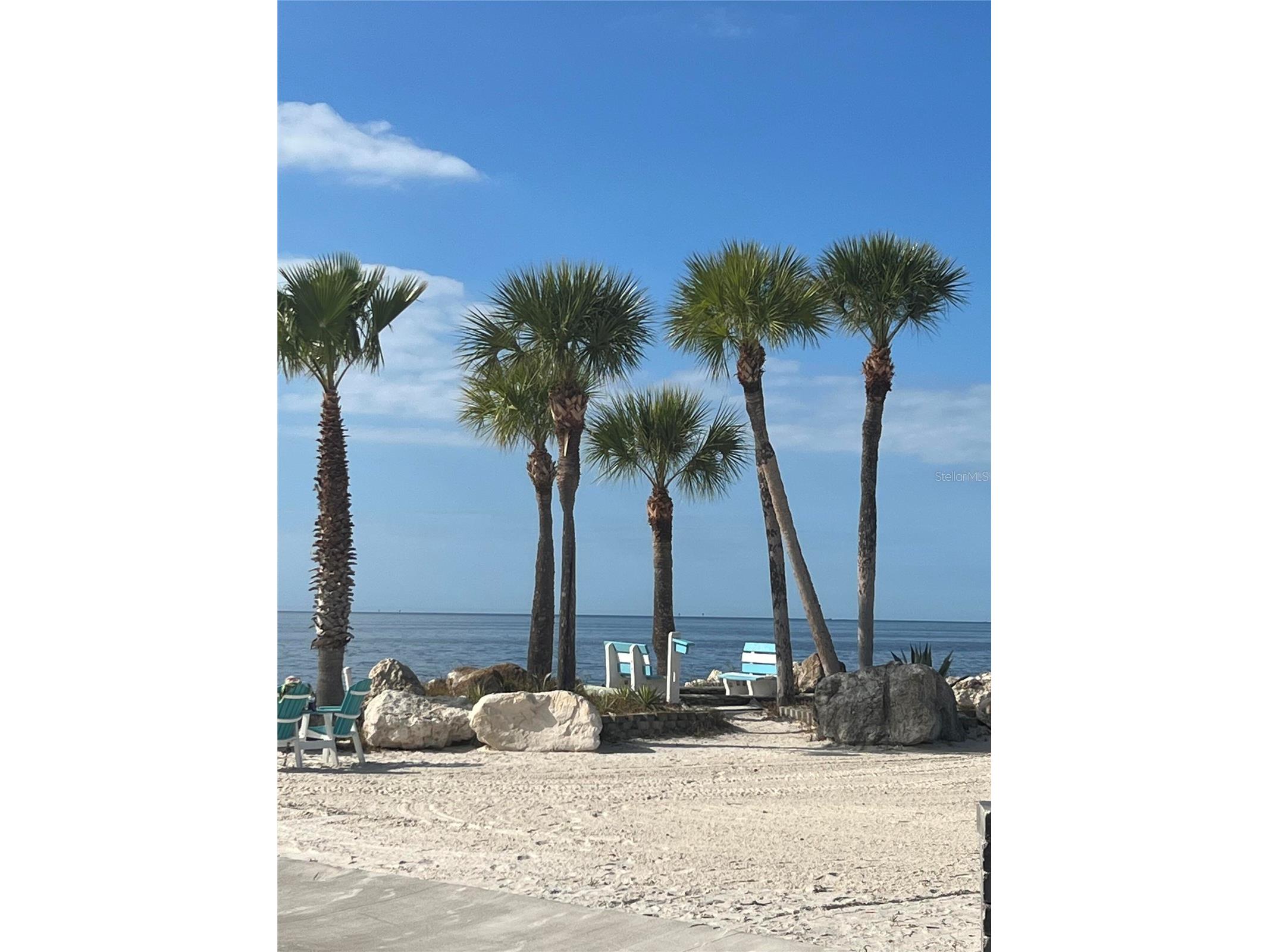 4754 Marine Parkway #2 New Port Richey FL 34652 O6413794 image18
