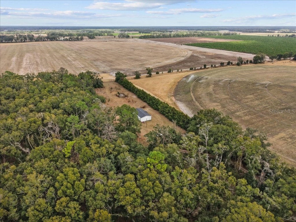 4754 SW 10th Street Bell FL 32619 GC536132 image15