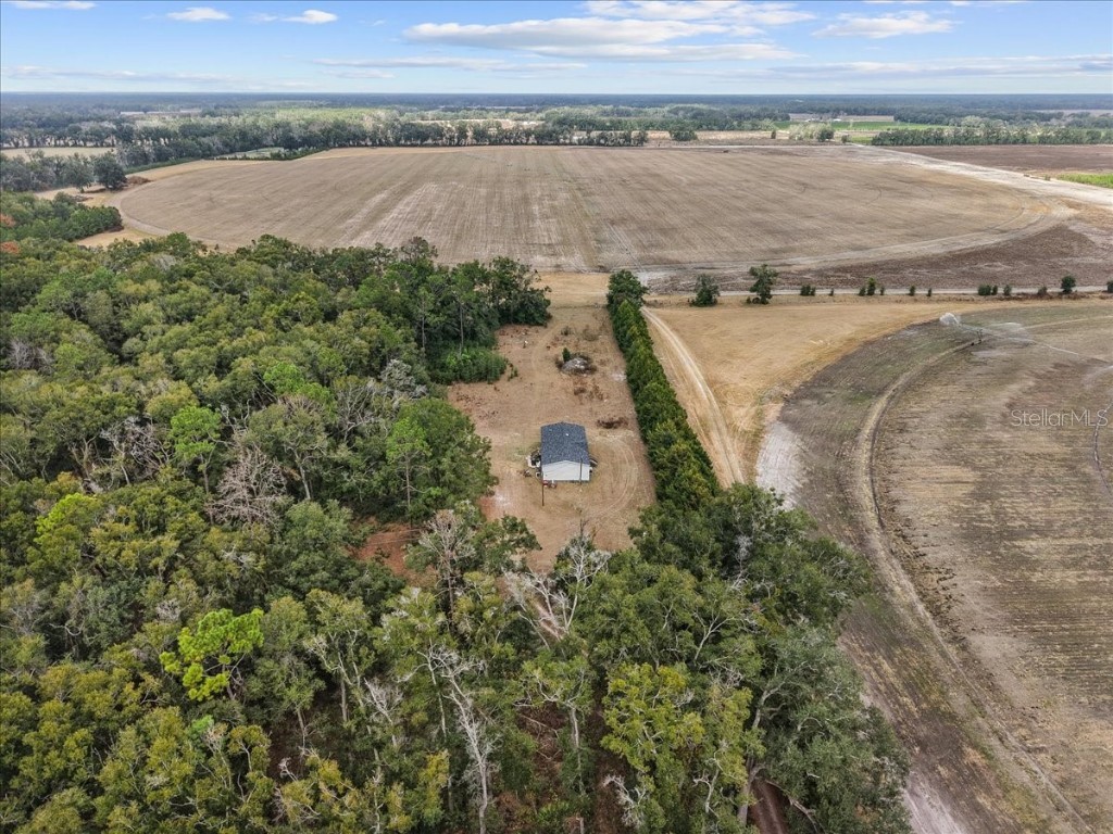 4754 SW 10th Street Bell FL 32619 GC536132 image22